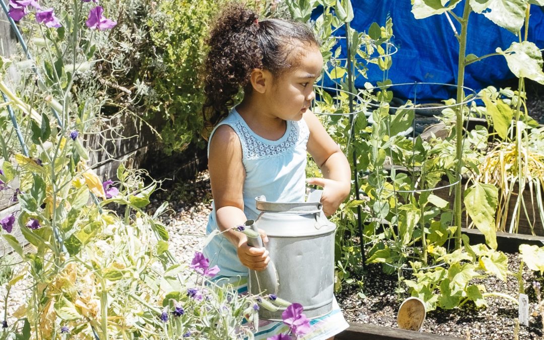 Early Childhood Campus Certified Wildlife Habitat